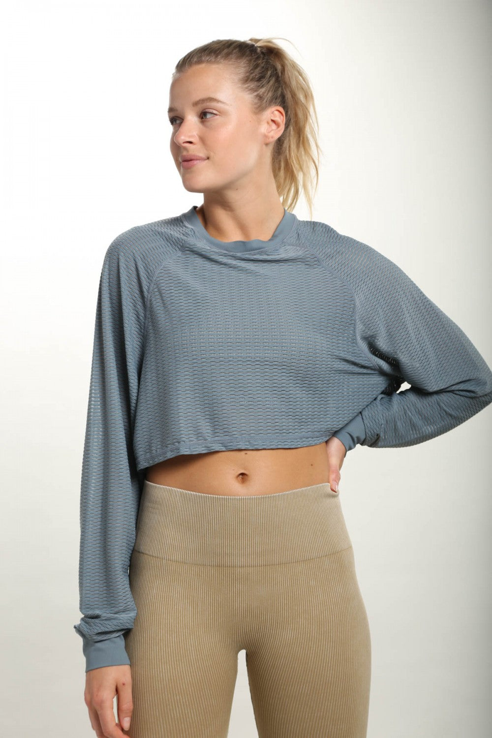 Striped Mesh Raglan Cropped Top