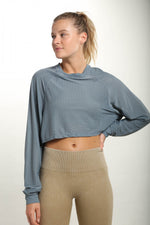 Load image into Gallery viewer, Striped Mesh Raglan Cropped Top
